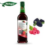 Herbapol Syrop o Smaku Maliny z jeżyną suplement diety [1 butelka = 420 ml] (Kopia)