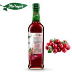 Herbapol Syrop o Smaku Żurawinowym suplement diety [1 butelka = 420 ml]
