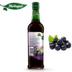 Herbapol Syrop o Smaku Aronii suplement diety [1 butelka = 420 ml]